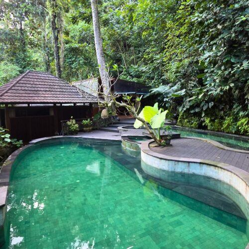 Moment from a Terraxplora Bali trip, photo 8