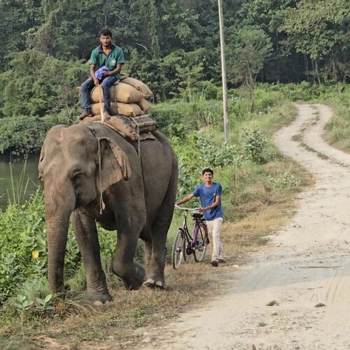 Moment from a Terraxplora Nepal trip, photo 13