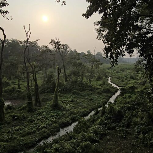 Moment from a Terraxplora Nepal trip, photo 17