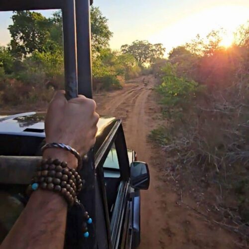 Moment from a Terraxplora Sri Lanka trip, photo 6