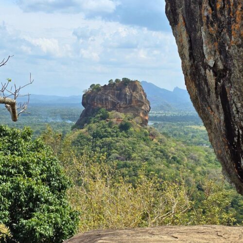 Moment from a Terraxplora Sri Lanka trip, photo 11