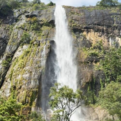 Moment from a Terraxplora Sri Lanka trip, photo 13