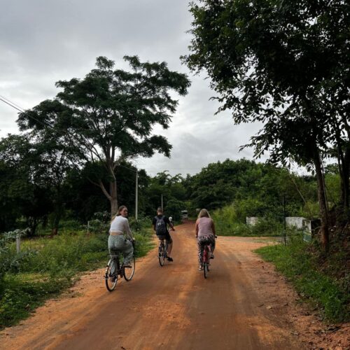 Moment from a Terraxplora Sri Lanka trip, photo 16