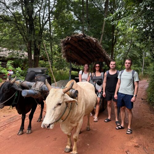 Moment from a Terraxplora Sri Lanka trip, photo 18