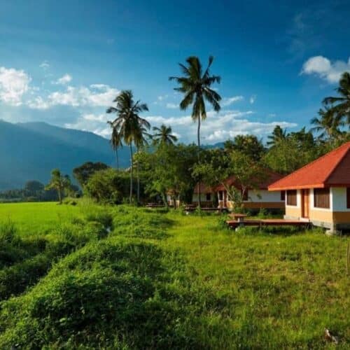 Accommodation on the Terraxplora Sri Lanka trip, photo 4