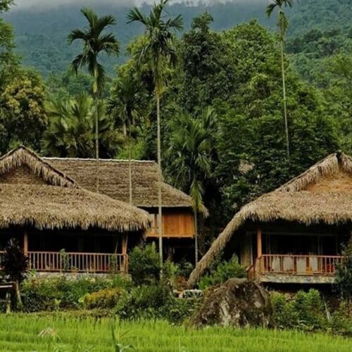 Accommodation on the Terraxplora Vietnam trip, photo 10