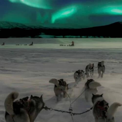 Moment from a Terraxplora Svalbard trip, photo 2