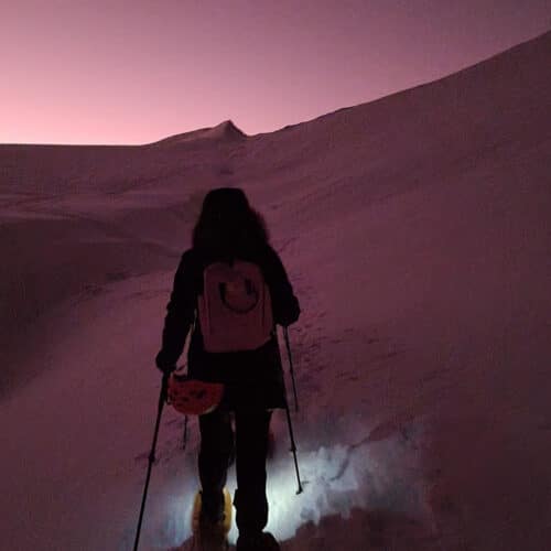 Moment from a Terraxplora Svalbard trip, photo 5